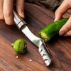 Green Pepper Core Remover
