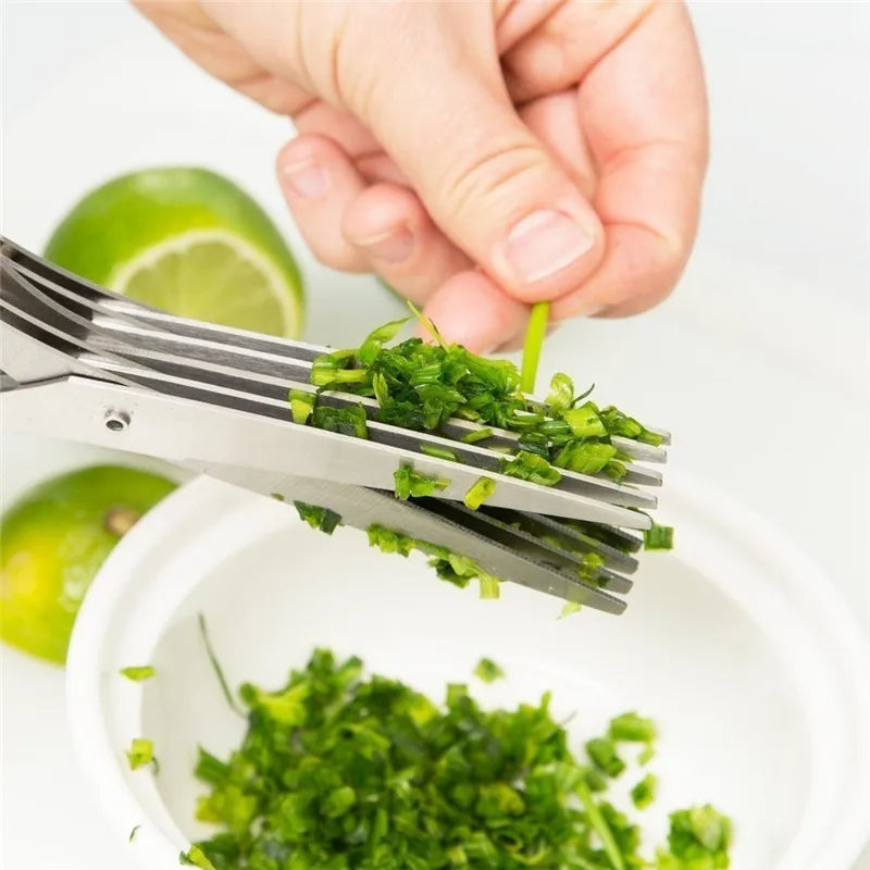 Multifunctional Multi-Layer Green Onion Scissors – Stainless Steel Herb & Spice Cutting Kitchen Scissors